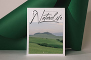 Qedgan Mellodysta A Modern Font Duo, a Serif Font by Storytype Studio (Thumbnail 8 of 15)