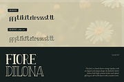 Fiore Dilona | Hand Drawn Vintage, a Font by Denustudios (Thumbnail 15 of 15)