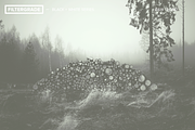 FilterGrade Black & White Series, an Action Add-On by FilterGrade (Thumbnail 2 of 5)