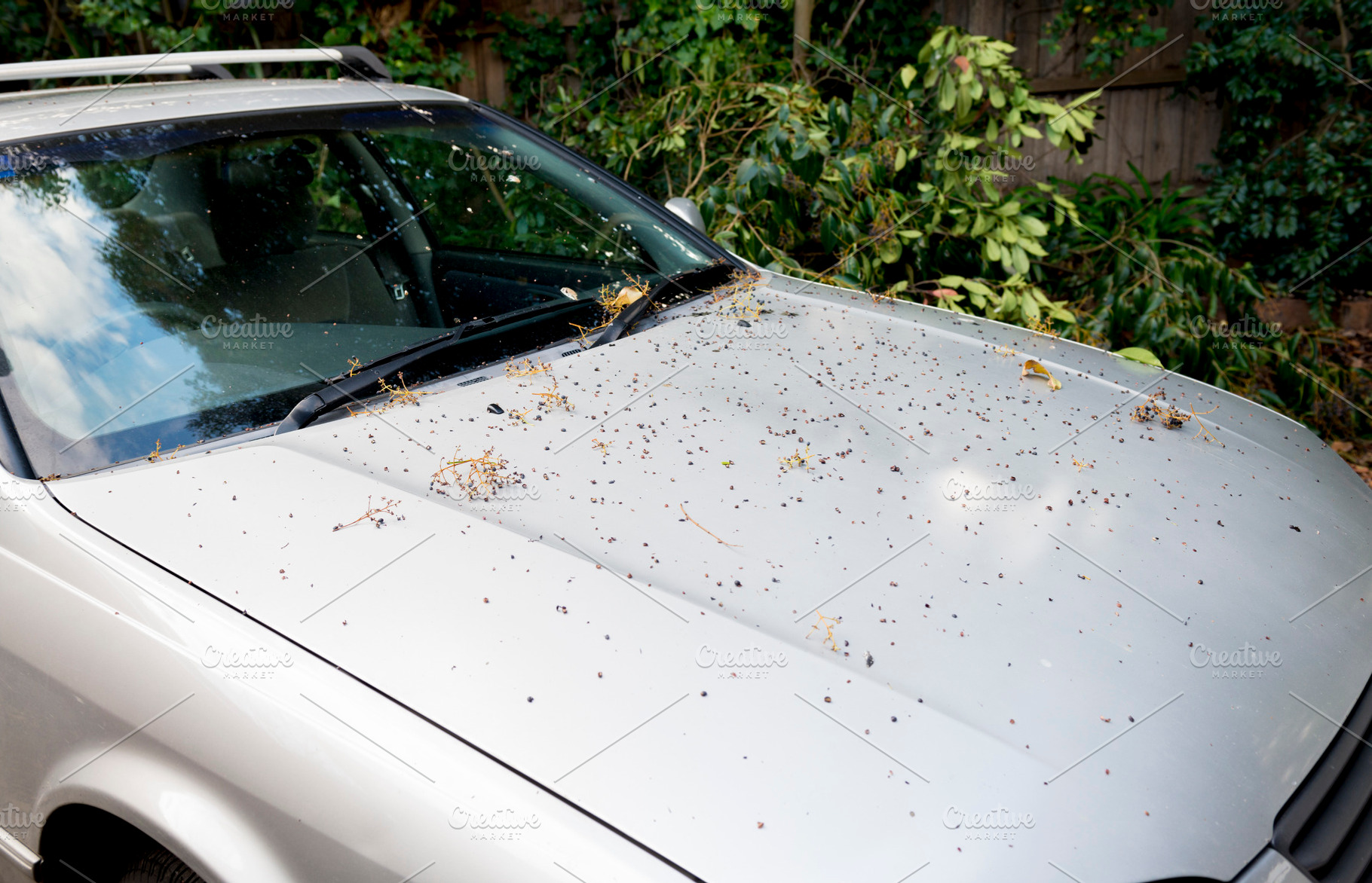 Dirty Car, a Transportation Photo by THP Creative