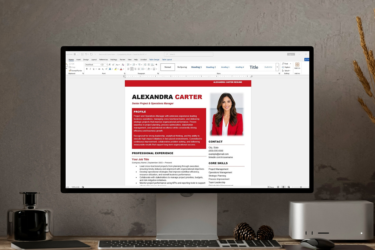 Professional Resume Template, a Resume Template by Anjum Ilyas (Photo 6 of 6)