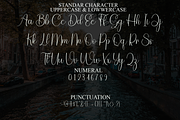 Calligraphy, a Handwritten Font by FreshTypeINK (Thumbnail 6 of 8)