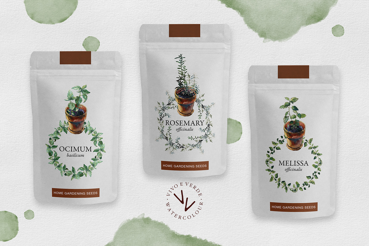 3 herbs in flowerpots watercolour, an Illustration by vivo e verde (Photo 8 of 11)