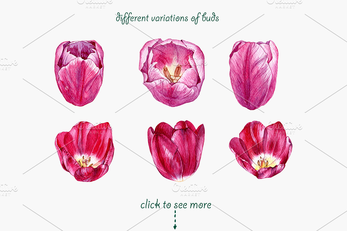 Tulips, an Illustration by OlyaSenko (Photo 3 of 6)