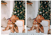 Moody Holiday PEPPERMINT LR Presets, an Action Add-On by CityTurtles (Thumbnail 6 of 7)