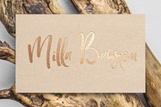 Warrenson Script Font, a Script Font by Creativeqube Design (Thumbnail 3 of 19)