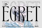 TAN - EGRET, a Serif Font by TanType (Thumbnail 1 of 19)