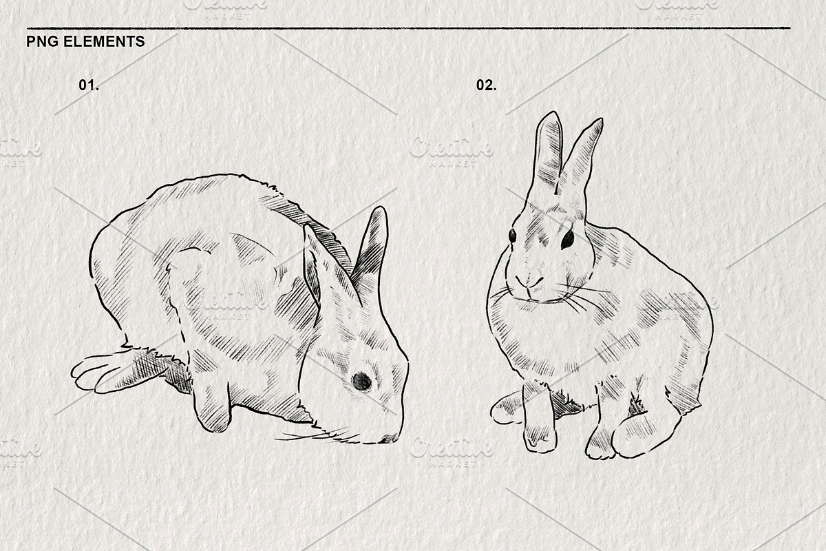 Pencil sketches of rabbit PNG, an Animal Illustration by LOKSKIH (Photo 3 of 5)