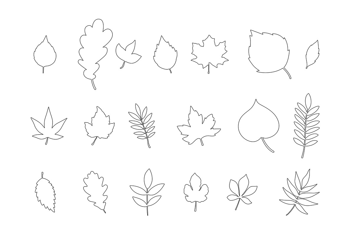 leaves outline icons collection, an Outline Icon by nicollr's store (Photo 1 of 3)