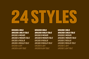 Headlines Unicase Font Family, a Sans Serif Font by TypeThis!Studio (Thumbnail 23 of 26)