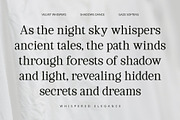 CS Quella – Contemporary Font, a Serif Font by Craft Supply Co. (Thumbnail 3 of 8)