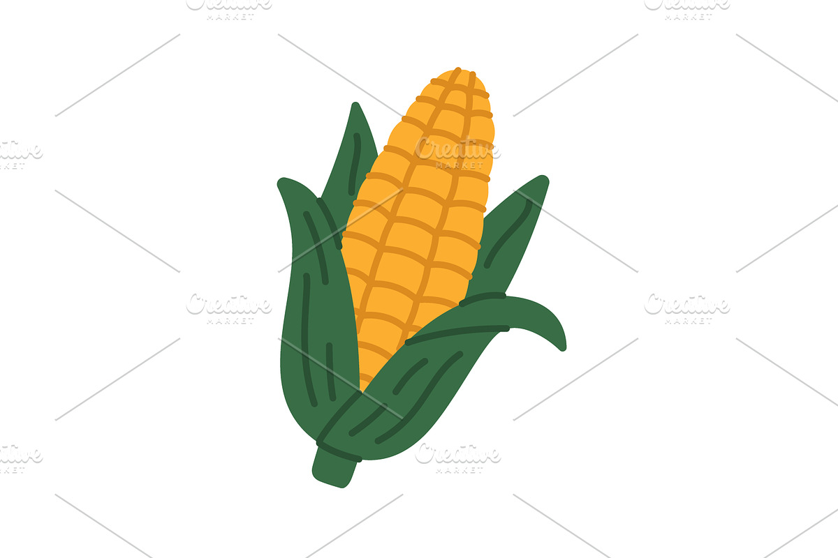 Bright yellow corn cob with green, a Food Illustration by GraphiShop
