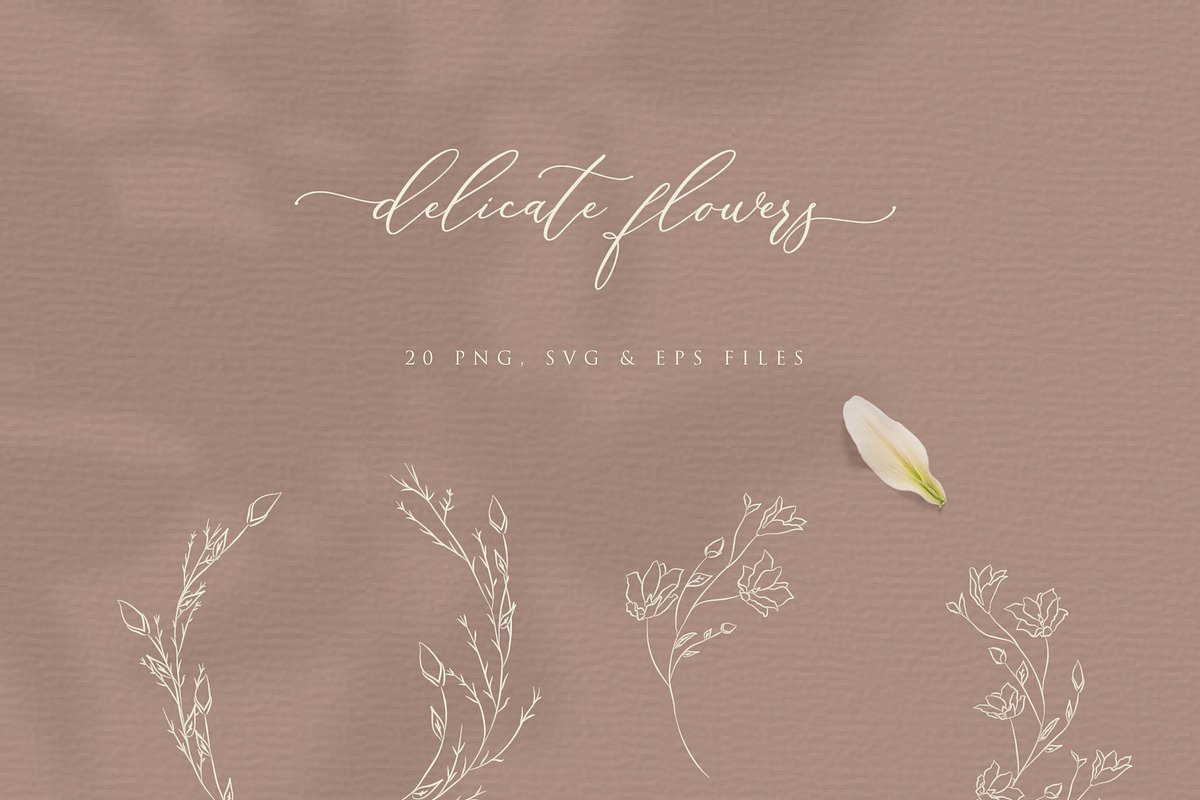 Line Drawing Botanical Wreaths, an Illustration by Olya Creative (Photo 4 of 4)