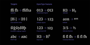 Tangent, a Slab Serif Font by Hoftype (Thumbnail 14 of 14)