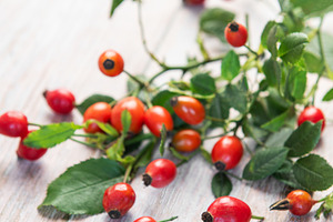 Fresh rose hips lying on rustic white table, a Food & Drink Photo by Olena Rudo