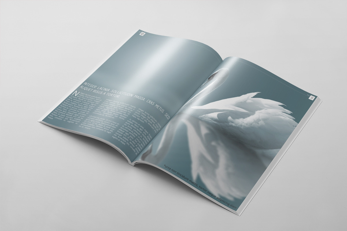 Magazine Template 15, a Magazine Template by pmvch (Photo 6 of 10)