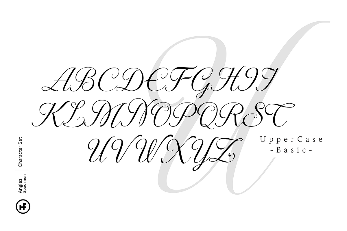 Anglez Script preview 5