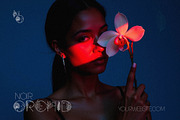 Tropic Summer - Botanical Luxury Dis, a Symbol Font by AndrewPixelType (Thumbnail 3 of 9)