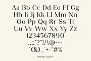 Blureigh Typeface - Hitype, a Serif Font by Hitype (Thumbnail 9 of 10)