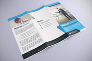 Trifold Brochure Template, a Brochure Template by Alice_s (Thumbnail 1 of 4)