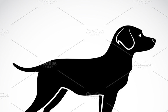 Vector Of Dog Labrador. Pet. Animal.