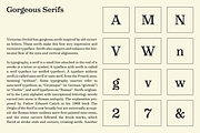 Victorian Orchid, a Serif Font by Dharma Type (Thumbnail 2 of 12)