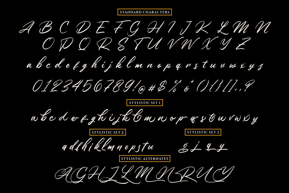Winsberg - Script Handlettering preview 8