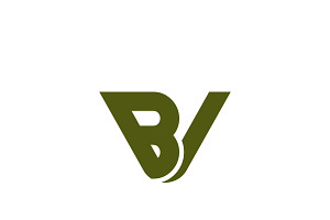 BV VB Logo Design