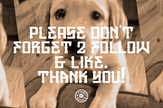 GAMEBRED FONT, a Serif Font by Alphabet Agency (Thumbnail 9 of 9)