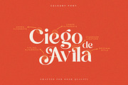 Calgary | New Stylish Serif Font, a Serif Font by Pentagonistudio (Thumbnail 14 of 20)