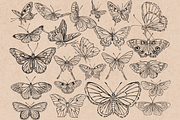 Butterfly Stamps for Procreate, a Brush Add-On by TheWhiteCatLab (Thumbnail 2 of 8)