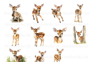 Watercolor Fawn Clipart, Baby Deer