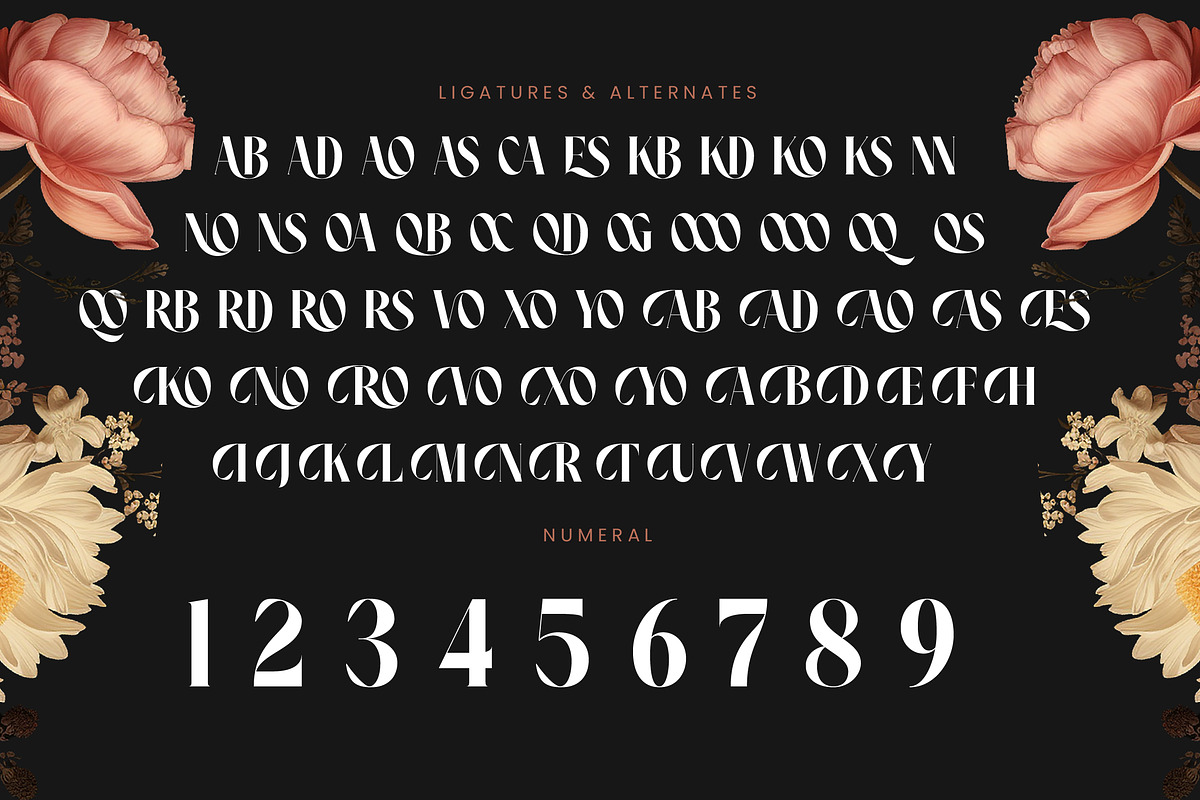 Noresa Modern Editorial Serif, a Serif Font by timelesstype.co (Photo 18 of 20)