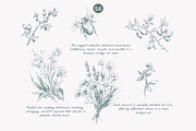 vintage clipart ink illustration set, a Decorative Illustration by Patishop Art (Thumbnail 8 of 9)