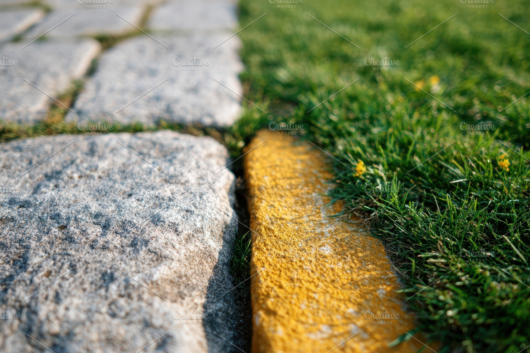 Stone pavement with yellow curb and grass, a Nature Photo by AlyaAnd