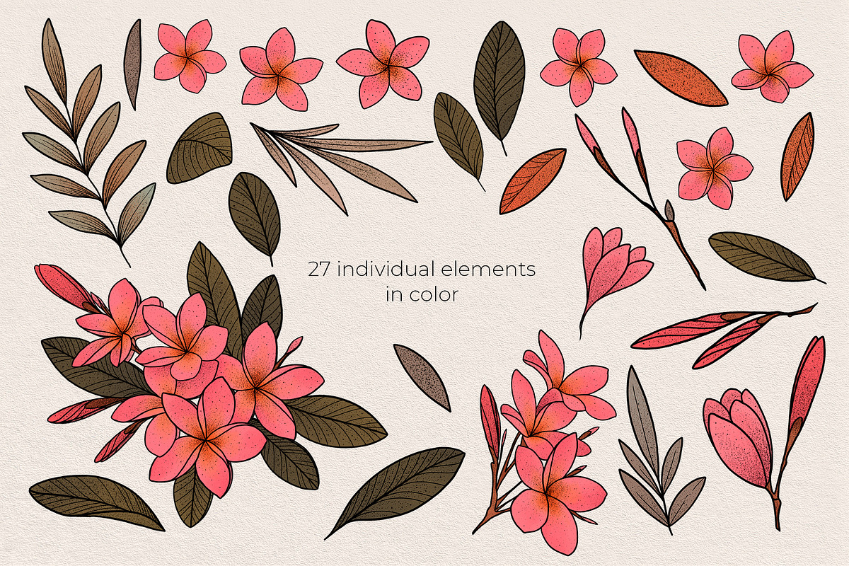 Illustration set Plumeria, an Illustration by Maria Summer (Photo 3 of 13)