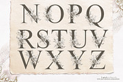 Floral Vintage Alphabet | Monograms, an Illustration by Tinydew (Thumbnail 5 of 7)