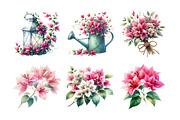 Bougainvillea Flower Clipart Bundle, an Illustration by Daily.Designs (Thumbnail 4 of 5)