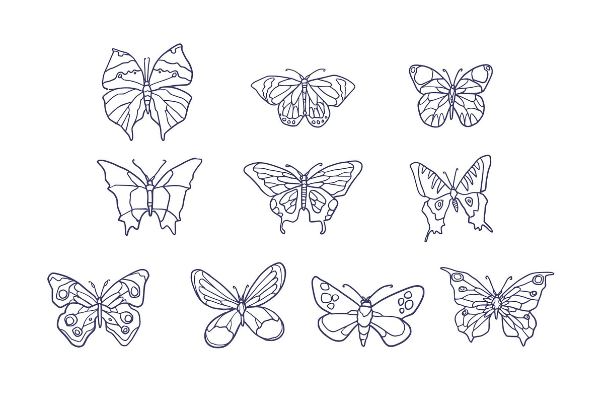 Breeds Butterfly Hand-Drawn Vol. 1, an Animal Illustration by SLAB! Design (Photo 3 of 3)
