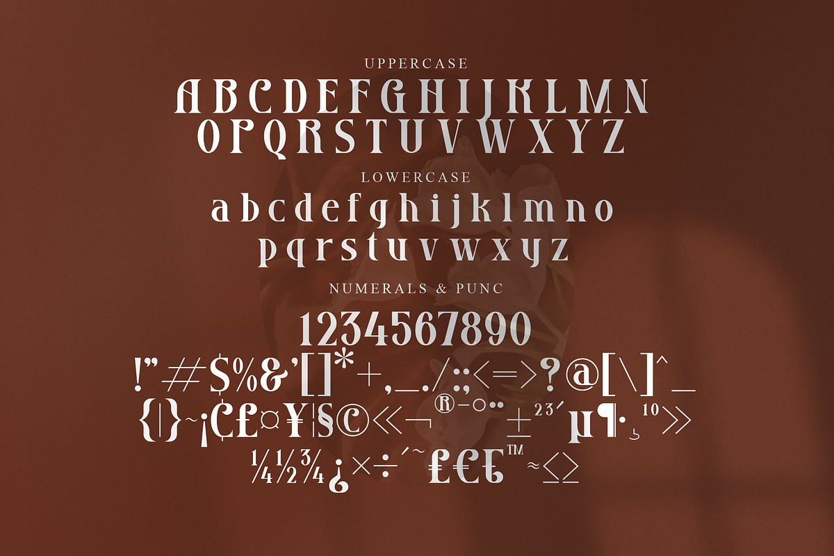 Grozery Stylish Serif Font, a Serif Font by Storytype Studio (Photo 14 of 15)