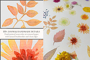 Autumn Watercolor Clipart & Patterns, a Decorative Illustration by Nadia Semyroz (Thumbnail 3 of 19)