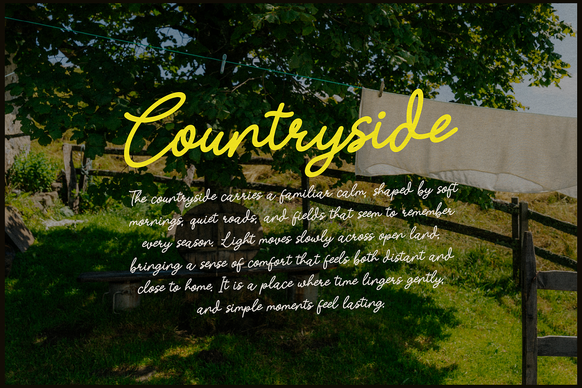 Nicolla Sunfield | Monoline Script, a Script Font by gracetype_studio (Photo 2 of 12)
