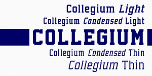 Collegium