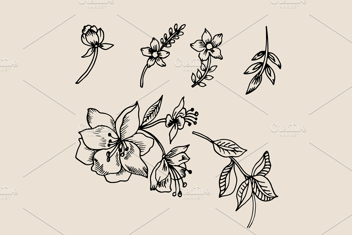 Bunchy Floral, an Object Graphic by VictoriaKStudio (Photo 5 of 6)