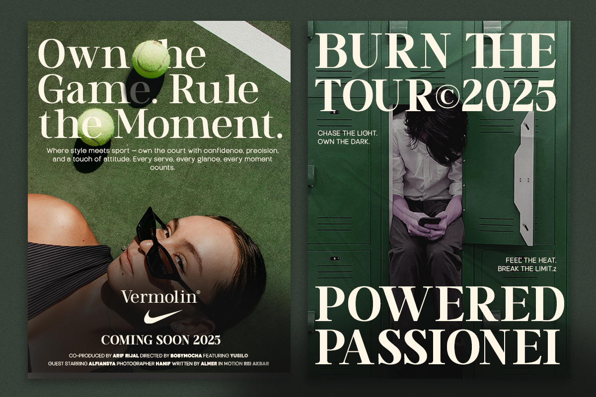 TT Vermolin — Modern Classy Serif, a Serif Font by truetype (Photo 9 of 15)