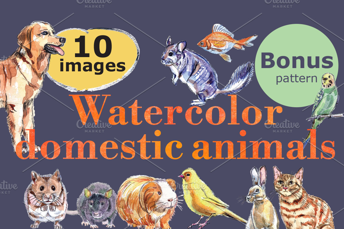 Watercolor vector domestic animals, an Animal Illustration by miminoshka (Photo 1 of 8)