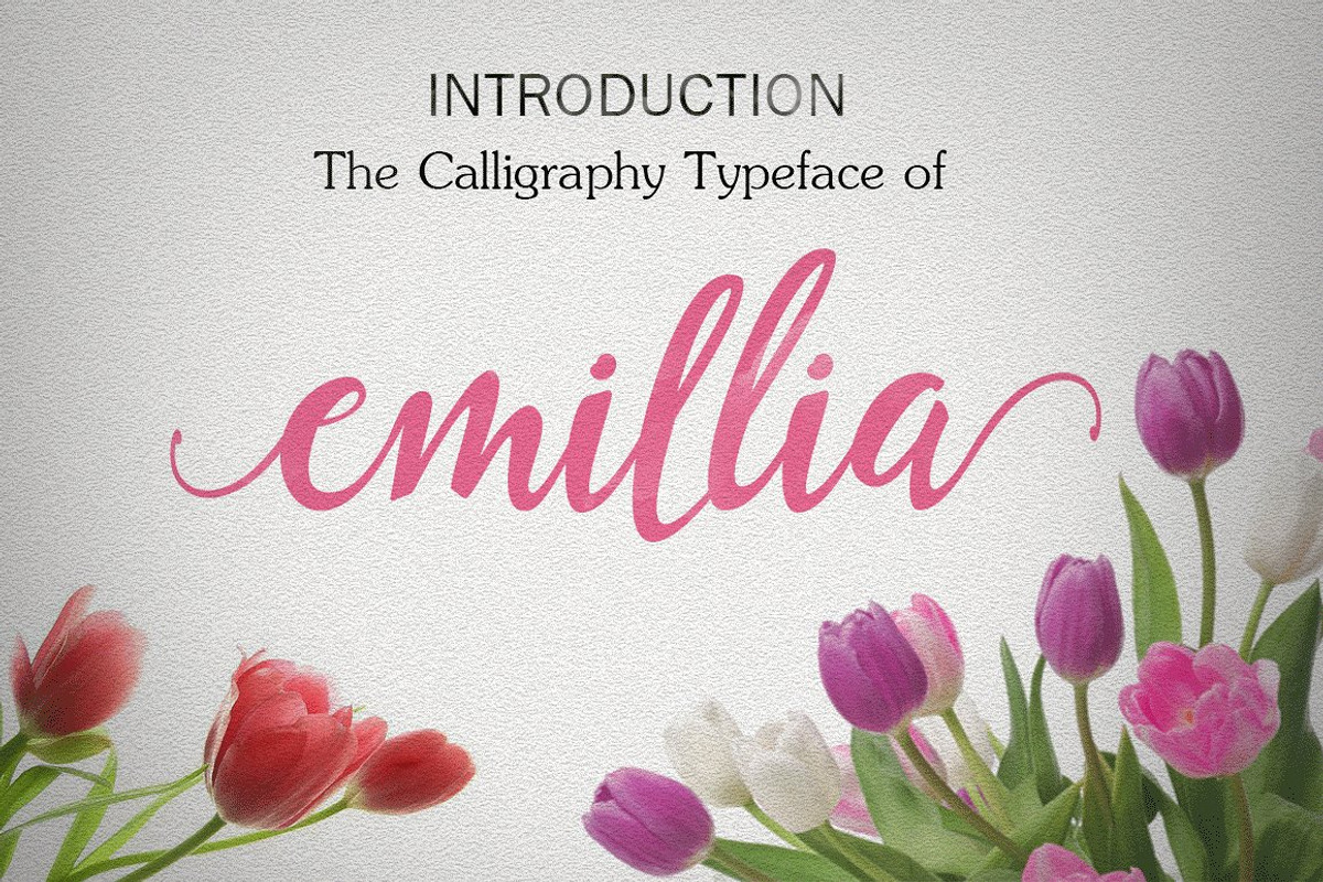 Calligraphy Big Bundle (95%off), a Script Font by groens (Photo 26 of 46)