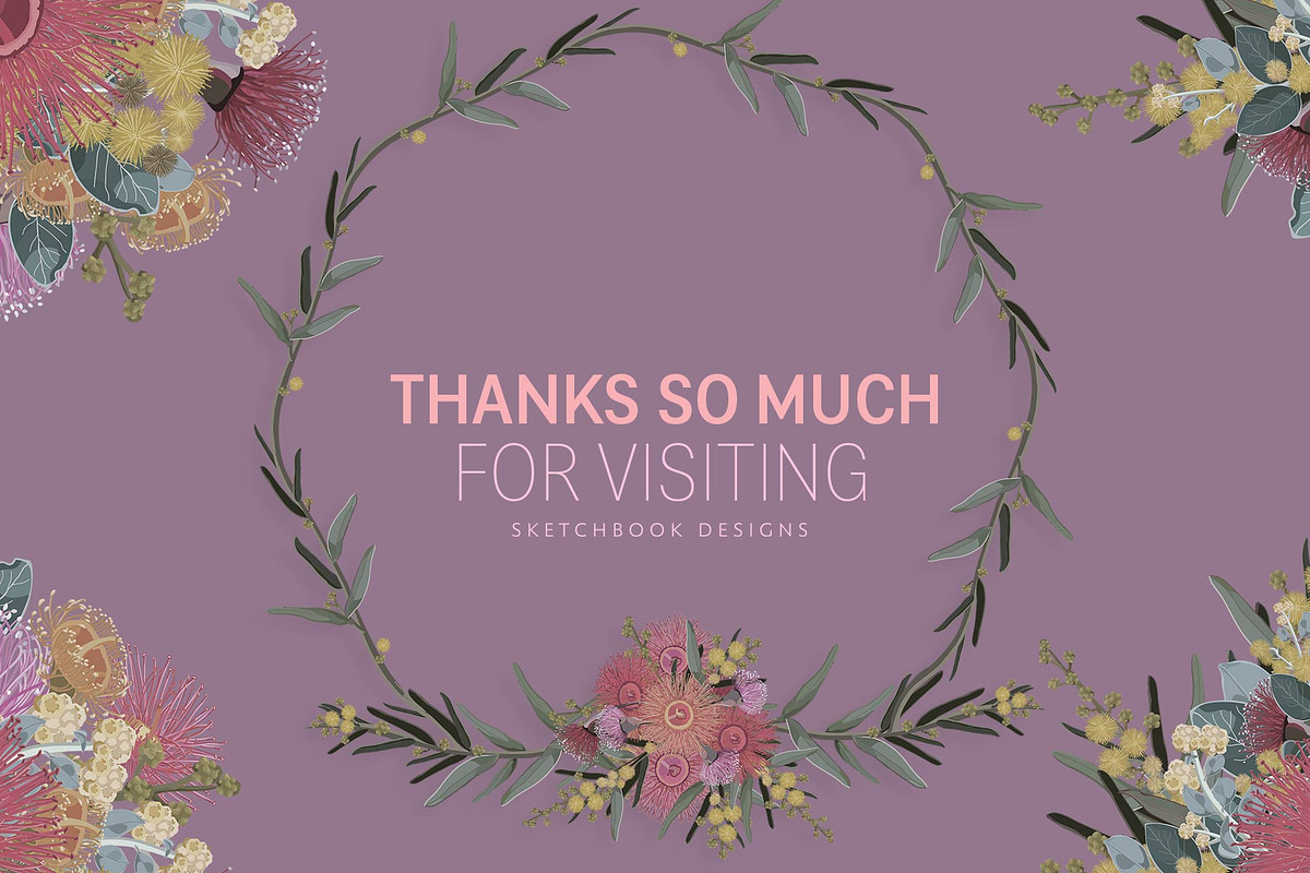 VINTAGE AUSTRALIAN WILDFLOWER SET, an Illustration by Sketchbook Designs (Photo 12 of 12)