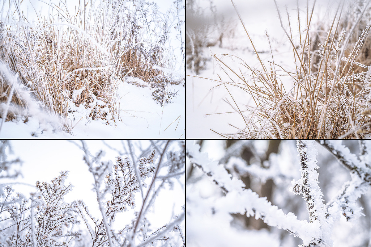 Frozen morning bundle /77pics, a Background Graphic by tydla (Photo 7 of 12)