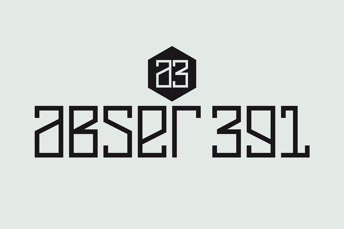 Abser 391, a Sans Serif Font by Qbotype Fonts (Photo 1 of 2)